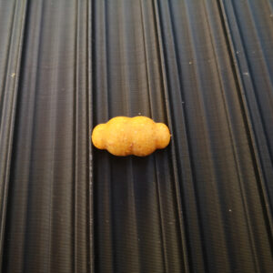 Selyemgubó - Cocoon Extreme XXL Kézi Bojli Roller